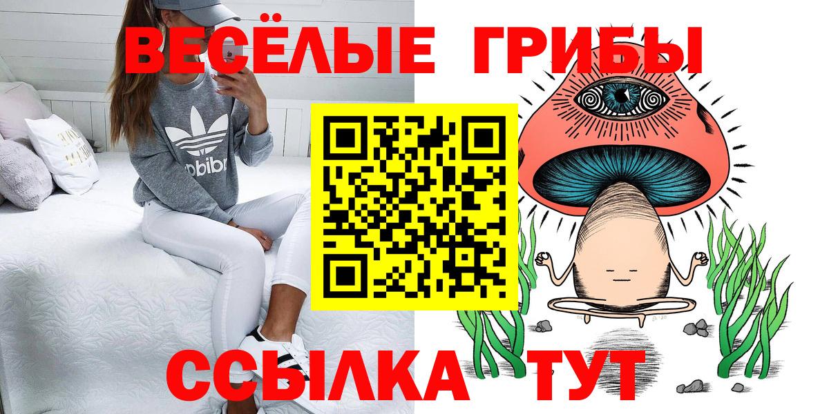 Галлюциногенные грибы Magic Shrooms Ейск